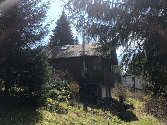 EE3CC653-ABEE-4BB6-9BC9-1B95F989D0A6 Kopie.jpeg