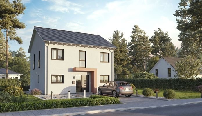  Home Zehn mit Satteldach und zwei Vollgeschossen Ansicht Eingang