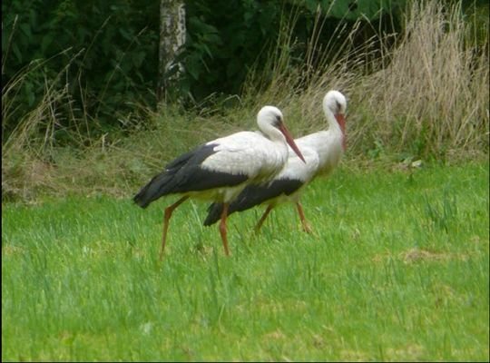 Bild 20