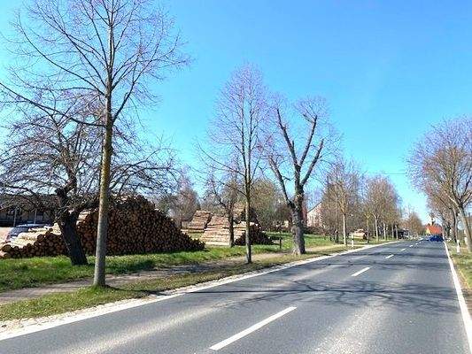 Anliegerstr. in Richtung Limbach