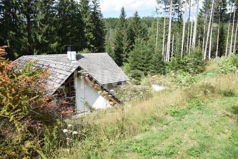 Schönau im Mühlkreis Häuser, Schönau im Mühlkreis Haus kaufen