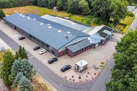 Werlte Halle, Werlte Hallenfläche