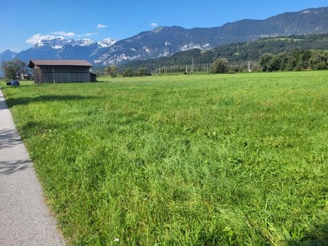 Kundl Bauernhöfe, Landwirtschaft, Kundl Forstwirtschaft