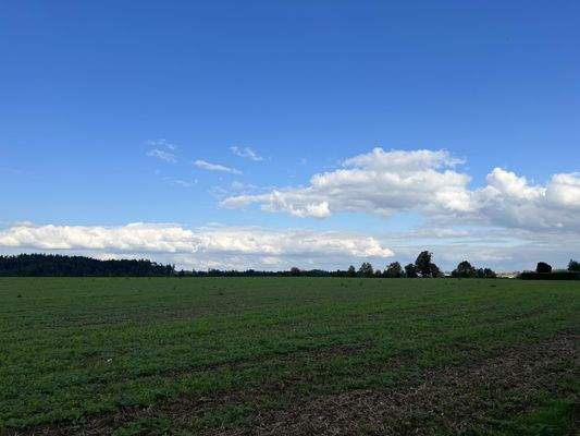 Ausblick vom Grundstück