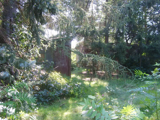 915033ef-c813-42c5-ba24-f53517a8afbd-1904514675