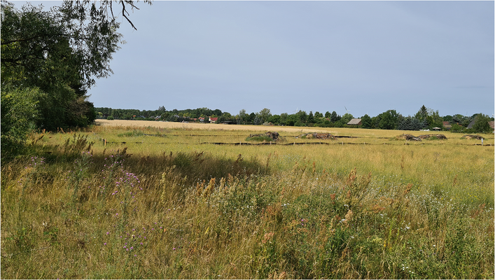 Grund 10 am Waldrand.PNG