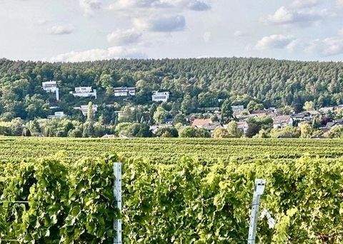Weisenheim am Berg Häuser, Weisenheim am Berg Haus kaufen