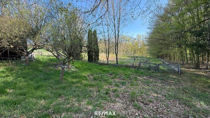 Einfriedung beim Wald