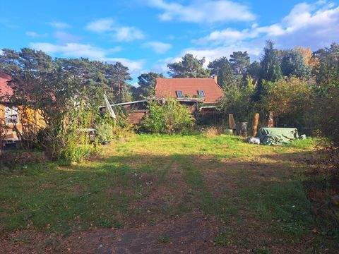 Rehfelde Grundstücke, Rehfelde Grundstück kaufen