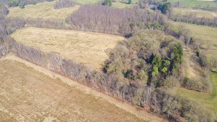 Weideland und Hofstelle