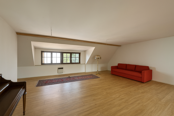 Blick zum Anger (KI generiert)