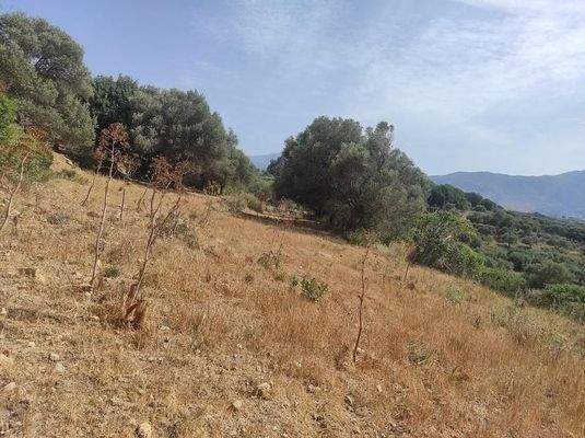 Kreta, Karoti: Grundstück mit Baugenehmigung und atemberaubendem Bergblick zu verkaufen