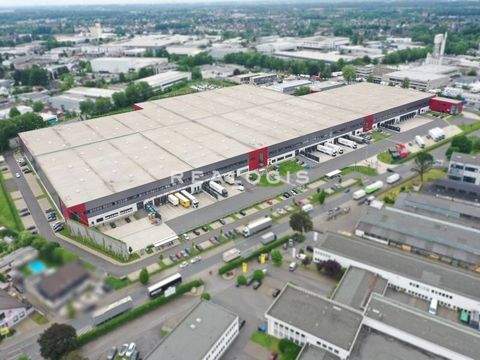 Langenfeld Halle, Langenfeld Hallenfläche