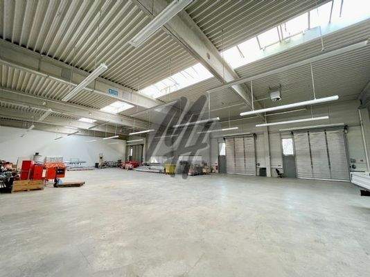 INFOS UNTER: 06171-586000