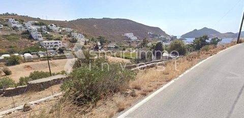 Patmos Bauernhöfe, Landwirtschaft, Patmos Forstwirtschaft