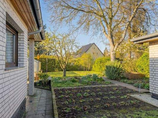 Blick zum hinteren Grundstück