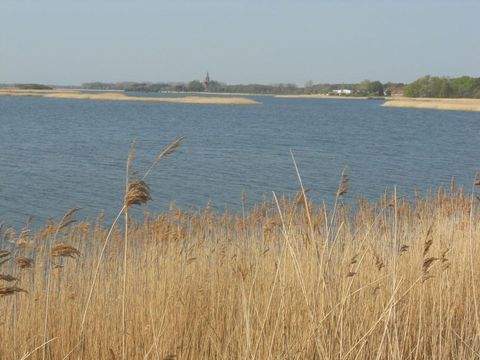 Greifswald Wohnungen, Greifswald Wohnung mieten
