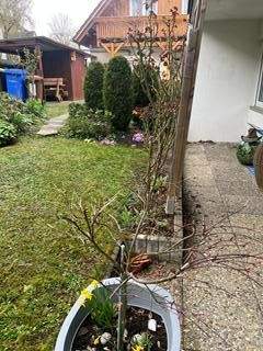 Veitshöchheim Wohnungen, Veitshöchheim Wohnung mieten