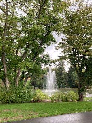 In bester Lage wohnen- direkt am Kurpark!