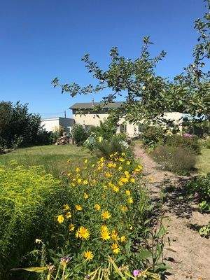 Blick von hinten auf das Haus