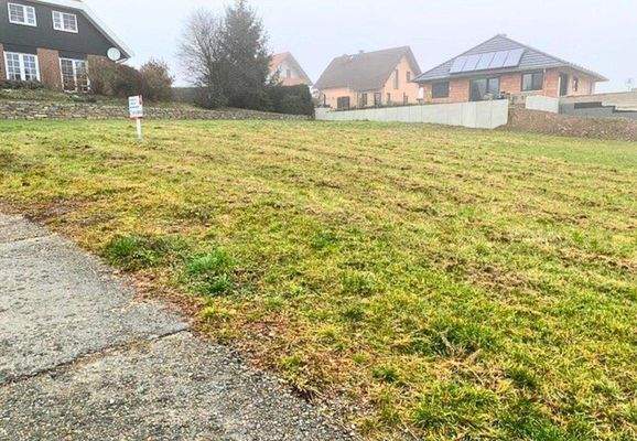 Grundstück Albersdorf.jpg