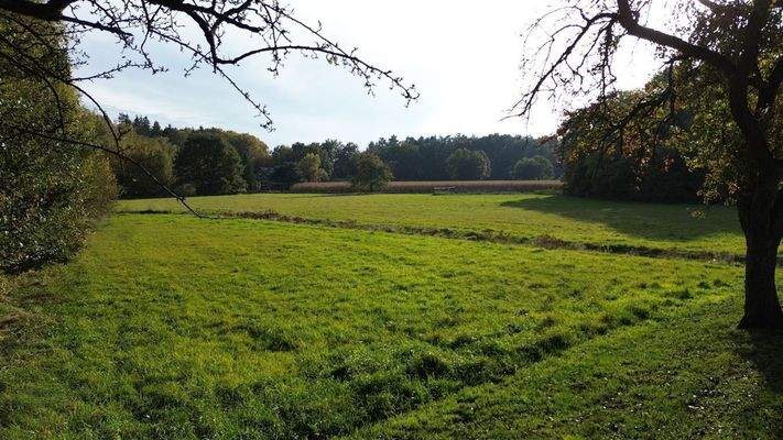 Grünland an der Hofzufahrt