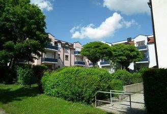 Go11 (17) - Kopie.jpg