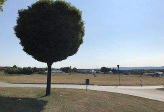 Blick auf das Grundstück