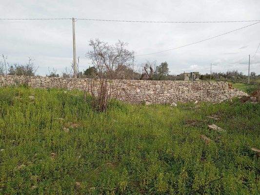 Masseria li Rizzi in Copertino (Lecce)