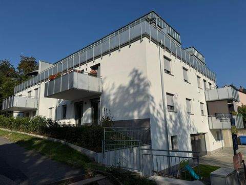 Wertheim Wohnungen, Wertheim Wohnung mieten
