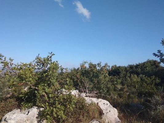 Kreta, Kokkino Chorio: Grundstück mit Panoramablick auf die Landschaft zu verkaufen