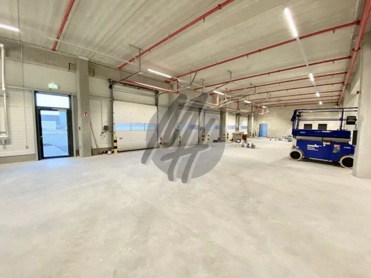 INFOS UNTER: 06171-586000