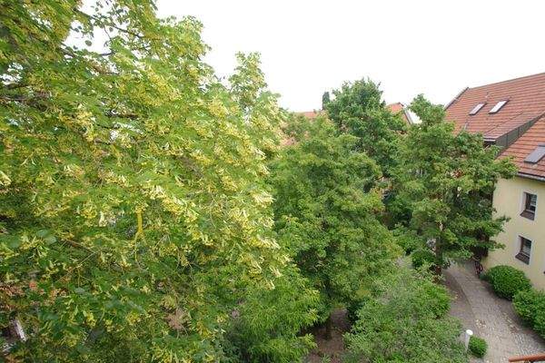 Blick von der Terrasse