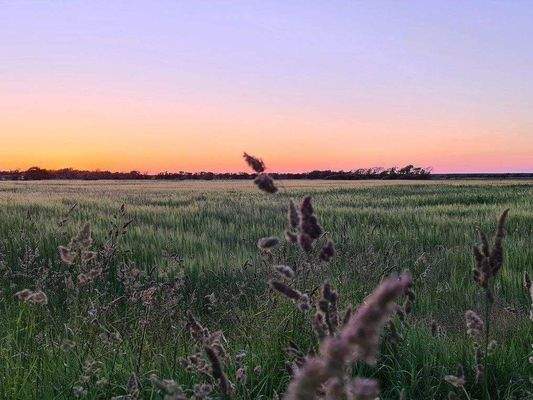 Ausblick über die Felder.jpg