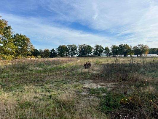 Freifläche Ackerland