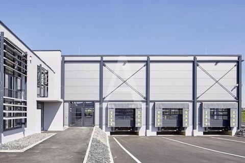 Mönchengladbach Halle, Mönchengladbach Hallenfläche