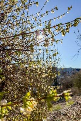 Impression Außenbereich