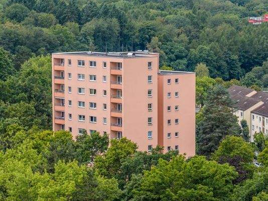 11_Rückansicht Drohne 2