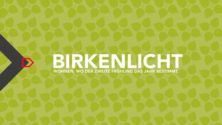 Birkenlicht