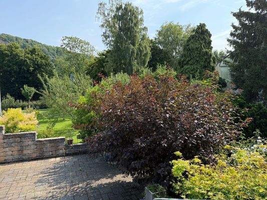 Ansicht Freisitz / Terrasse