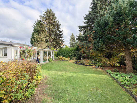 Wintergarten & Teich