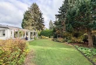 Wintergarten & Teich