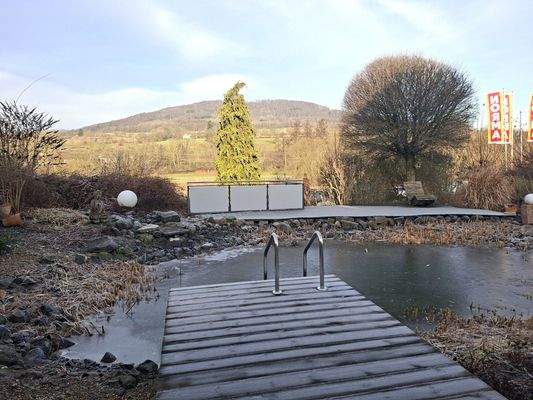 2FH mit Einliegerappartement, ausgebautem Dachgeschoss, Riesencarport + Schwimmteich!