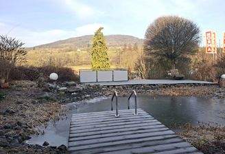 2FH mit Einliegerappartement, ausgebautem Dachgeschoss, Riesencarport + Schwimmteich!