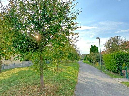 Weg zur Straßenbahn