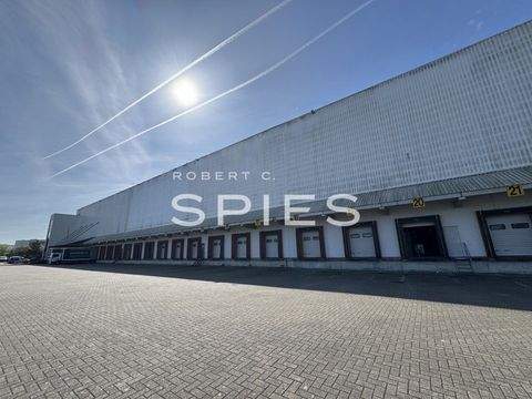 Wallenhorst Halle, Wallenhorst Hallenfläche