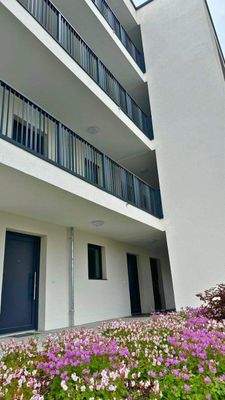 20250603 BUL EF (4).jpg