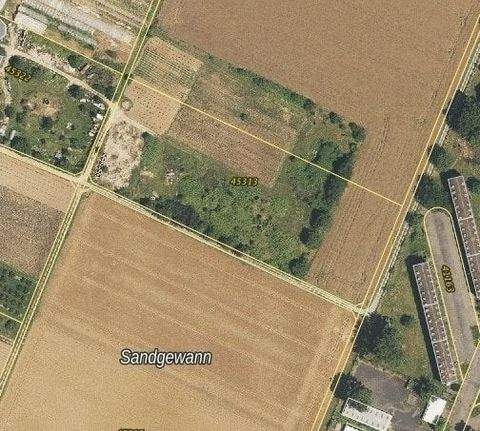 Heidelberg Bauernhöfe, Landwirtschaft, Heidelberg Forstwirtschaft