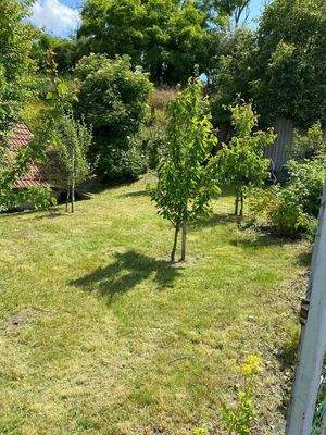 Nasch- und Obstbaumgarten hinter dem Weinkeller