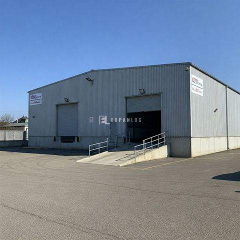 Düsseldorf Halle, Düsseldorf Hallenfläche